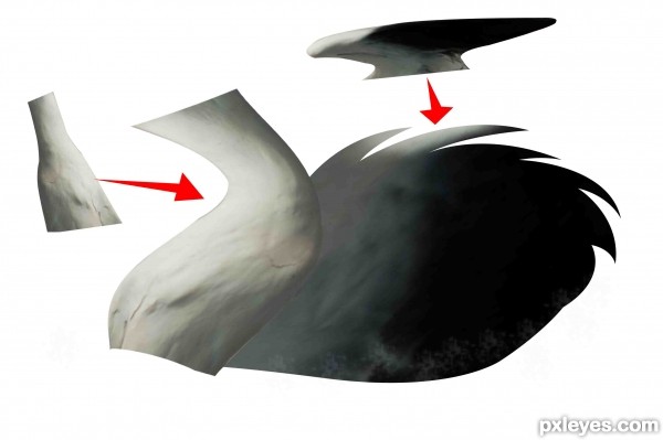 Creation of Blue swan: Step 2